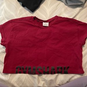 Gymshark Fraction Crop Top